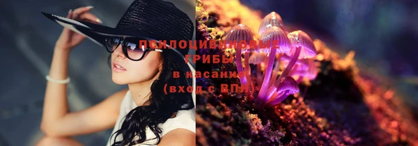apvp Кукмор